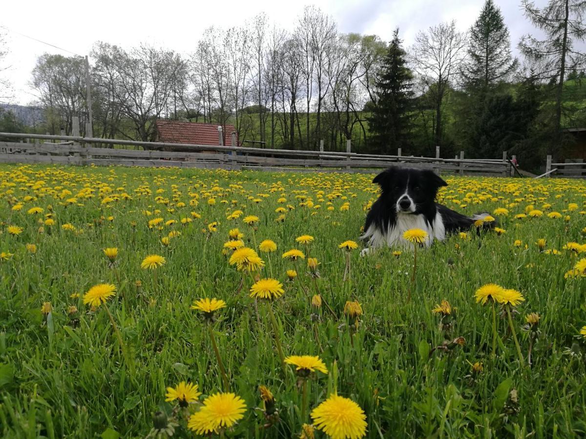 BešeňováHoliday Raj别墅 外观 照片